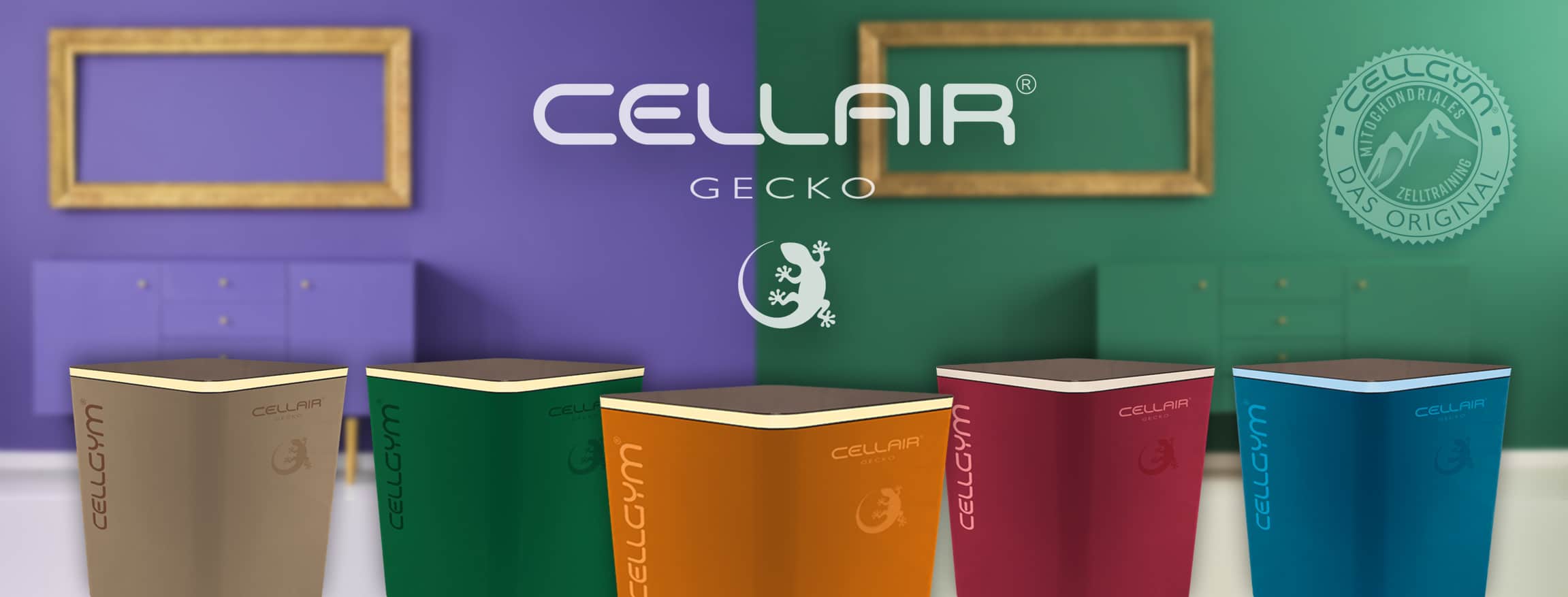 CellAir GECKO IHHT Zelltraining für Zuhause cellgym.eu